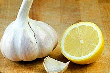 Popular combination of garlic with lemon for the treatment of various ailments