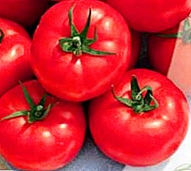 Mooi van buiten en lekker van binnen - de tomaat "Raspberry Jingle": beschrijving van het ras en de foto
