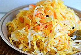 Cooking crispy cabbage for the winter