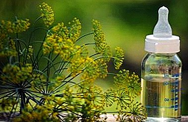 The use of dill water for colic in newborns. Tips, where to buy and how to do at home