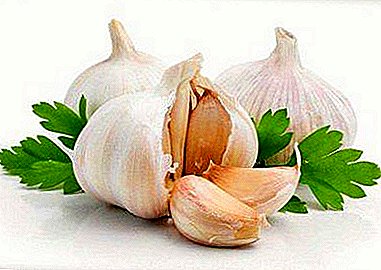 Natural anti-cold and vitamin remedy - garlic. At what age can you give it to children?
