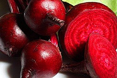 Prevention and treatment of constipation in adults and children with the help of beets, as the best natural remedies