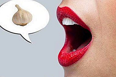 Preprosti in učinkoviti nasveti za odstranitev vonja po česnu iz ust in rok