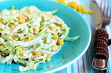 Eenvoudige en smakelijke salades met Chinese kool, maïs, krabstokken en andere ingrediënten