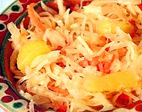 Proven recipes for sauerkraut with apples
