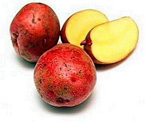 Time-tested Rosana potatoes: variety description, photo, characterization