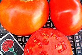 Tomate maduro precoce "Samara": descrição da variedade e fotos