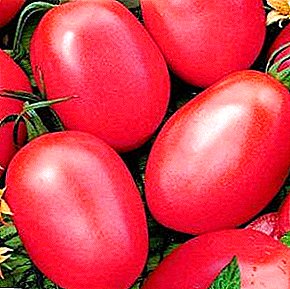 Ранен реколта ще ви бъде представен от майския розов домат: описание и характеристики на сорта