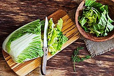 Razumijemo u čemu je razlika između kineskog kupusa i pekinške zelene salate. Jesu li bolji od našeg bijelog?