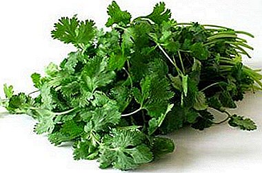 The difference between the two seasonings: what is the difference between cilantro and parsley?