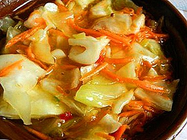 Một loạt các công thức cho bắp cải muối với nghệ: Hàn Quốc, nhanh, với rau xanh và nhiều hơn nữa!