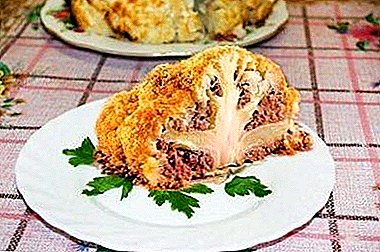 Cauliflower recipe with minced meat. Cooking and serving options
