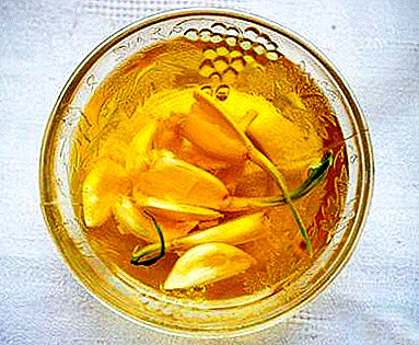 La receta para la eterna juventud: una mezcla de ajo con aceite de linaza y miel. Características generales y recomendaciones de uso.