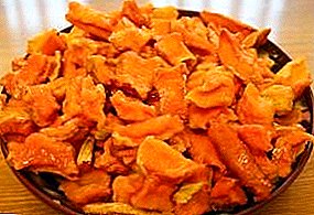Rezepte für den Ofen: Wie kann man getrocknete Karotten herstellen?