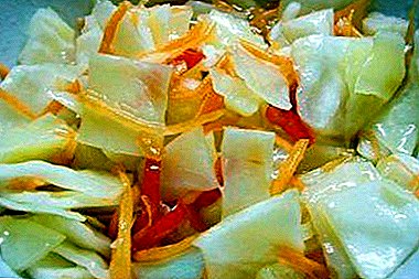 Recipes for classic and fast cabbage in hot marinade. How to choose the type of vegetable and pickle?