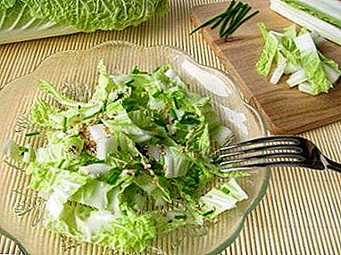 Recepten van plantaardige salades met Chinese kool en hun foto's
