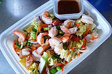 Recepti kuhanja salate s plodovima mora i kineskog kupusa, od kojih će vaši gosti biti ludi!
