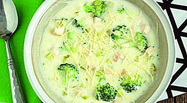 Receitas de brócolis e sopa de couve-flor. Quais são os benefícios e danos do prato?