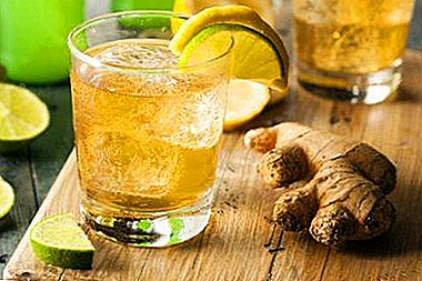 Rezepte der effektivsten Cocktails mit Ingwer zur Gewichtsreduktion. Nutzen und Schaden, Anwendungsempfehlungen