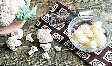 Recipes for delicious cauliflower in a double boiler, guests will be delighted!