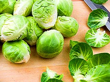 Recommendations on the use of Brussels sprouts when breastfeeding and the inclusion of vegetables in the child's menu