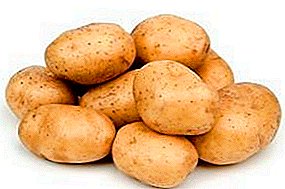 Ryska potatisorter Fortune: den tidigaste, läckra!