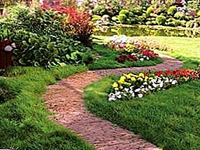 Garden paths. Do-it-yourself design elements