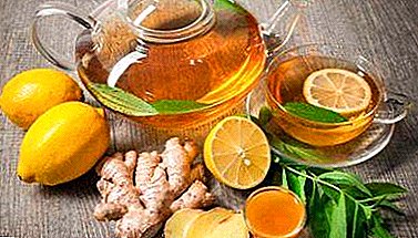 The most effective recipes for a mixture of ginger and lemon for weight loss and tips on how to take it