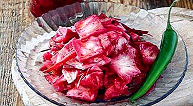 Le ricette più deliziose per cavolo in salamoia in stile Guri con barbabietole e senza