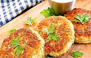 The most delicious recipes for cooking cauliflower cutlets with photo serving