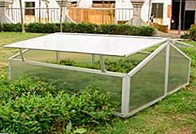 Homemade polycarbonate greenhouse