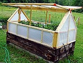 Estamos construyendo un invernadero o un mini-invernadero para la dacha, diseños de madera y otros por nuestra cuenta.