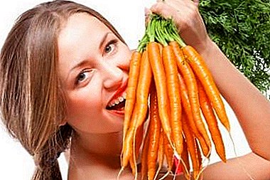 Perte de poids avec bienfaits pour la santé: toutes les subtilités de la carotte pour perdre du poids