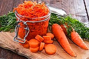 Salaisuuksia siitä, miten porkkanat pidetään kunnolla talvella kotona: paras tapa