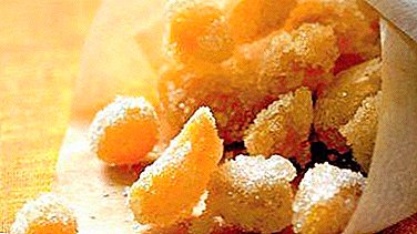 Geheimnisse der getrockneten Delikatesse: Wofür ist Ingwer in Zucker gut, schadet es, wie kocht es?