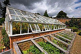 Steps to the greenhouse business: revenue and profitability