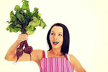Remolacha dulce y saludable. ¿Es posible comer un vegetal todos los días, cuál es la norma y qué amenaza con excederse?