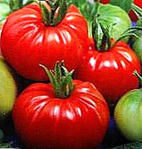 Sweetness di atas meja - tomato "Dobrynya Nikitich": kaedah penanaman dan penerangan pelbagai