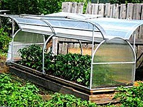 We collect the reliable country assistant - a greenhouse from a profile pipe with his own hands
