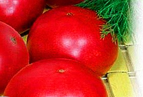 Tomatensorte "Kartoffel-Himbeere" - Beschreibung mit einem Foto von einem köstlichen, üppig aussehenden auf Ihren Lieblingsgartenbeeten
