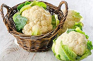 The composition and calorie cauliflower. The benefits and harms of vegetables for the body