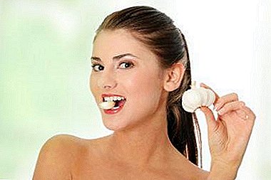 Tipps Ärzte für die Verwendung von Knoblauch bei Zahnschmerzen und wirksame Rezepte für medizinische Lotionen