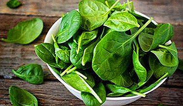 Tips on how to properly collect spinach. How many crops per year can I get?