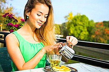 Tipps zum Verzehr von Zitronenmelisse beim Stillen: Zubereitungsmethoden und mögliche Gegenanzeigen