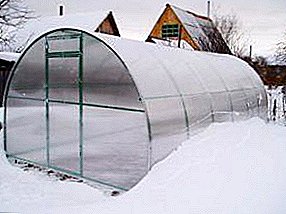 Create a winter greenhouse from polycarbonate with heating with your own hands: the nuances of construction and heating