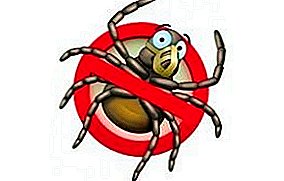 وسائل للتعامل مع سوس العنكبوت: المبيدات الحشرية ومبيدات الحشرات