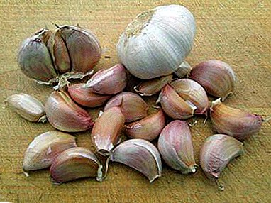 Should I give garlic to children from worms and other parasites? Recipes and recommendations