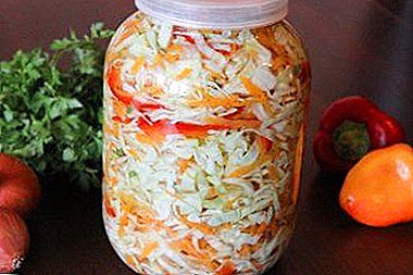 Is it worth eating? Benefits, harms and calories of pickled cabbage