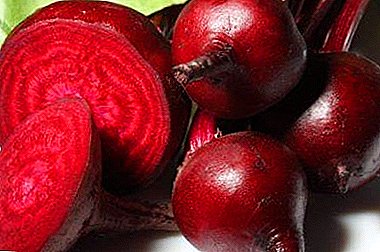 Is it worth worrying if the beet feces change color and turn red or black?