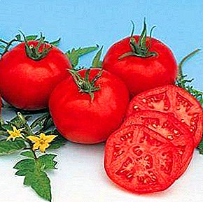 The capital guest on the garden - a variety of tomato "Moskvich", description, specifications, photos